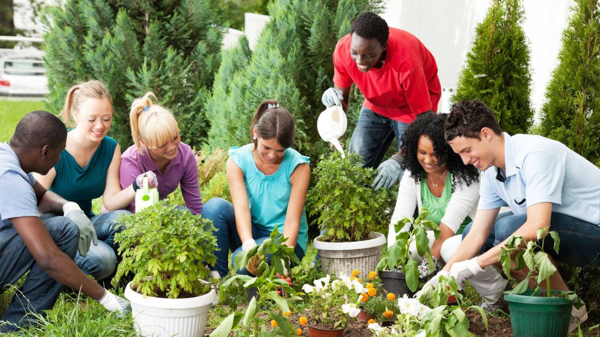 5 Benefits of gardening